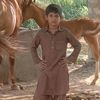 bashir.tiktok27