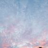rha__xel14