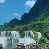hong.th.hoa80