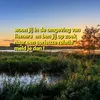 passie_xxx