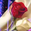 esmeralda.solis33