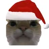 jingle.dingle.qua