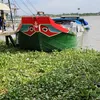 an.nguyn8477
