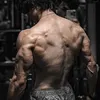 muscleexercisesandanatom