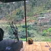 annareview8