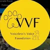 voiceless_voicefundation
