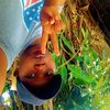 user731182929325
