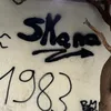 fine_sht8