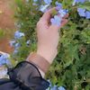 fofoenglishgirl