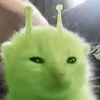 eonwooz_