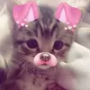 toggo_liveniko