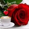 ahmedmaher8620