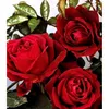 maryrose_888