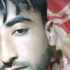habibakon11