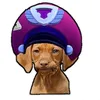bleydaco