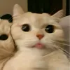 lixxqw49