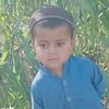 zaid.khan8294