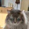 lady.j5289