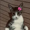 user123marialaura