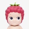 raspberry.charm