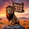 hamzapathan.125