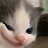la.la.le.le0