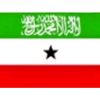 xamda.yuusuf.nuux