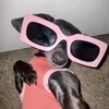 Bichos a Solta