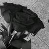 rzayeffadi_