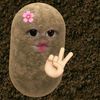 appalahh2