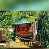 ecogospodarstvo