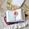 mayaahmed4125
