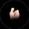 _crazy_girl065