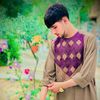 wajid.alamyar