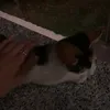 nikittyxx