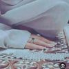 tab.meshoar