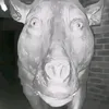 voxloverfr1