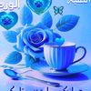 ahmad.mostafa821