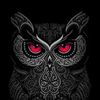 samir_csc108
