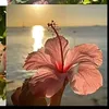 uknown_user181