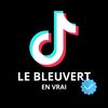 lebleuvertytb