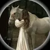 afoo....1