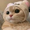 norelhyg_