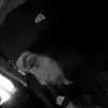 bmtk_19