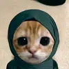 .joudy51