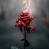 the_last89