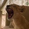 𝙳𝙼 7:7 𖢻.   ام فهد 🐆🤍