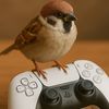 sparrow88gaming