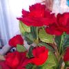 user86731685281473