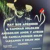amalia.benavides0
